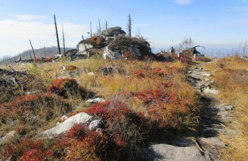 "Das Jagdhaus"- Chalet am Skigebiet mit Sauna - Foto 8