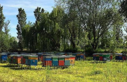 Agriturismo Borgo San Francesco - Foto 26