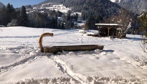 Chalet La Merlerie - Photo 3