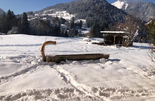 Chalet La Merlerie - Foto 3