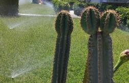 Antissa House in Carpe Diem Villas and Houses - Photo 19