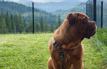 Stone Suite Zakopane - Foto 43