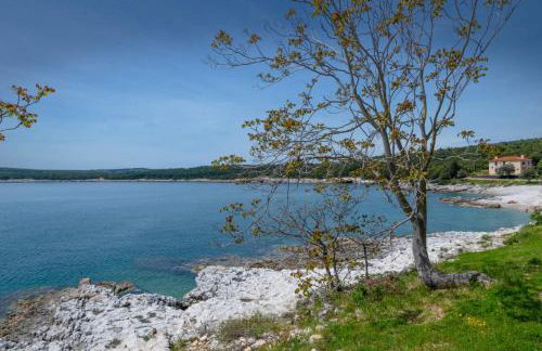 Apartman Lidija Koromačno - Foto 22