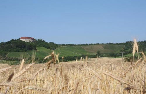 Schwarzer Adler - Ferienwohnung Storchennest - Foto 3