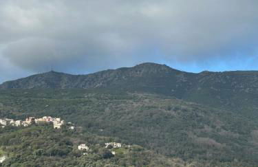 Superbe t2 route de ville Bastia - Foto 10