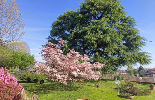B&B Il Melograno - Foto 1