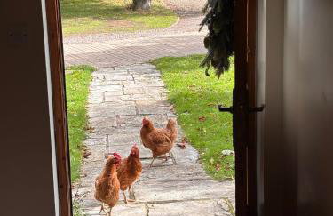 Barn Cottage - Foto 47