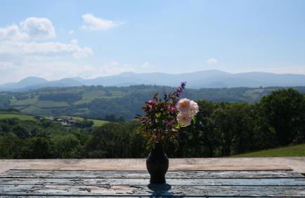 Ty Farm Retreat - Farmhouse Studio - Mountain View - Foto 27