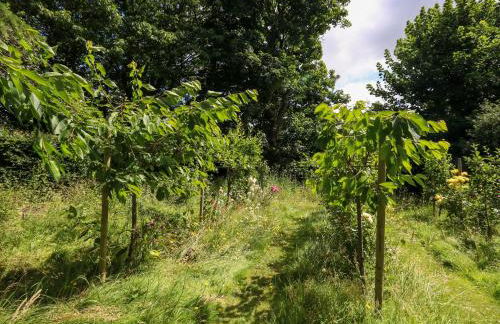 Little Timbers - Foto 43