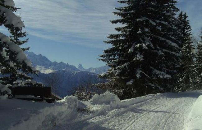 Almenrausch 2. OG Süd-West - Foto 7