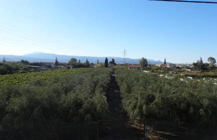 Kostas Family House - Foto 59