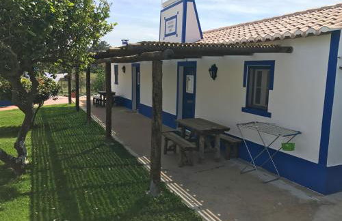 Monte Antonio Domingos - Foto 11