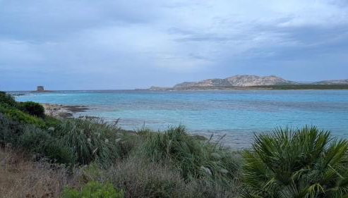 Villa Liliana Your Private Oasis with Pool - Foto 2