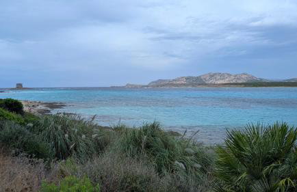 Villa Liliana Your Private Oasis with Pool - Foto 2