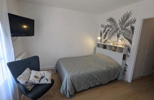 Studio Rue Castellane pour Cure ou Tourisme Vert à 2 min des Thermes - Foto 7