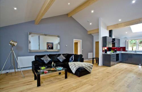 Cedar Lodge, South View Lodges, Exeter - Foto 9