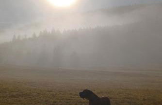 Ferienwohnung GABI - Foto 36