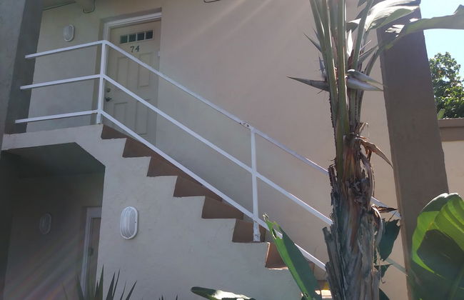 Turtle Crawl Inn - Foto 7