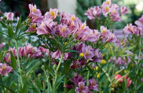 Casa Rural de Tío Félix - Foto 43