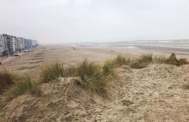 Villa in Oostduinkerke Near Dunes - Foto 32