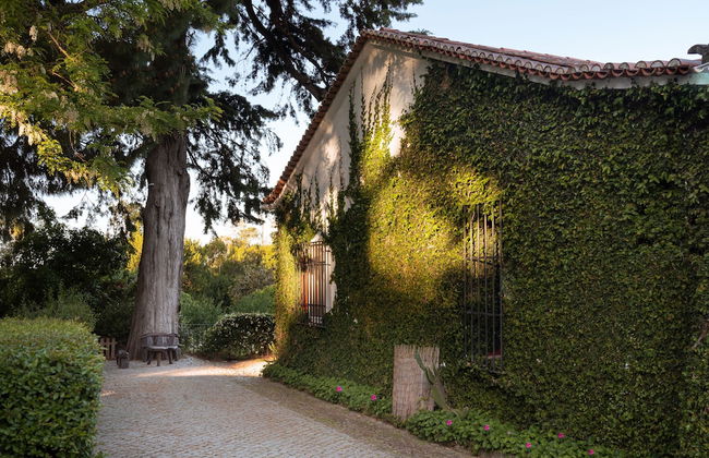 Imani Country House - Photo 62