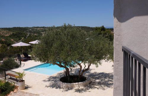 Sunset Hill Sutivan - Photo 17