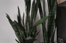 Apartament Rutkiewicz - Foto 14