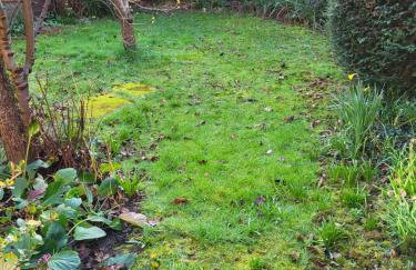 Comfy home for 4-5 people with garden near uni & QMC 2 nights minimum - Foto 21