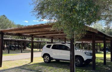 House on the beach - Porto Rotondo - Foto 26