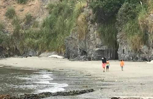 Panoramic Ocean View Home in Elk with Beach Access - Foto 40