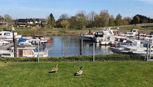 Traumhafte Ferienwohnung mit direktem Blick auf den Yachthafen - Foto 2, Garden
