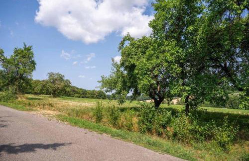 Ferienwohnung Kleinmünster - Foto 28