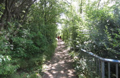 Ferienwohnung Sundblick - Photo 26