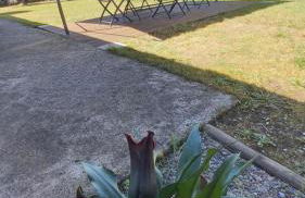 Le gite gravieres - Foto 15