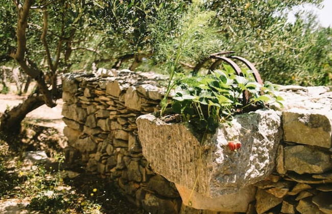 Lovely Cottage With sea Views in Selca, Croatia - Foto 46