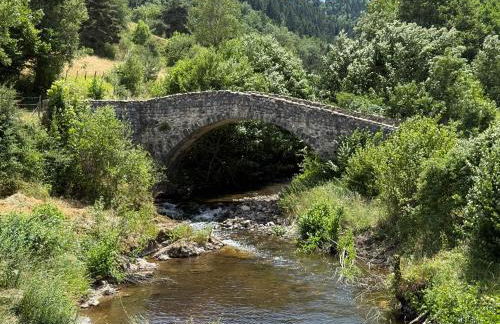 Gite LES SOURCES, 9 pers, 11 couchages - Arlempdes, classé un des plus beaux villages de France - Foto 43