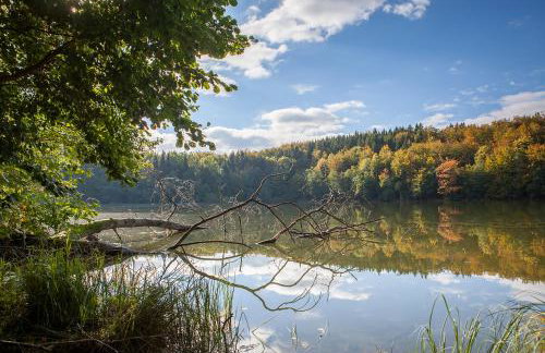Saunowisko w Krągu - domy Niebieski i Żółty - Foto 15