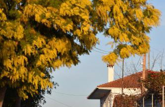 Mamadinas House AlliMpanta - Photo 23