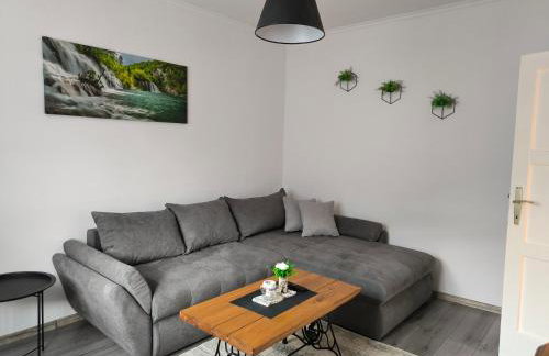Apartman Domi - Foto 3