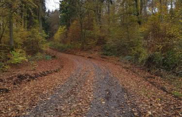 Apartment Am Sternberg 236 - Foto 21