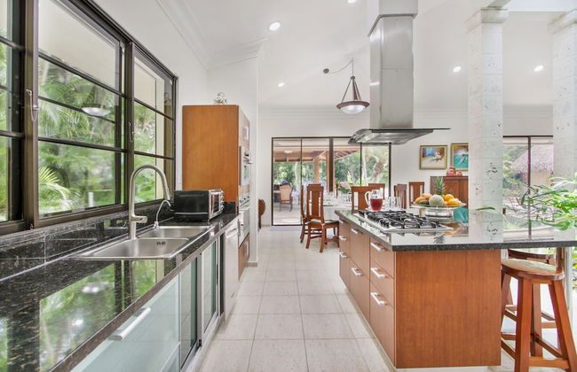 Beautiful Villa Tortuga at Puntacana Resort Club Pool Garden Golf Cart Maid - Photo 29