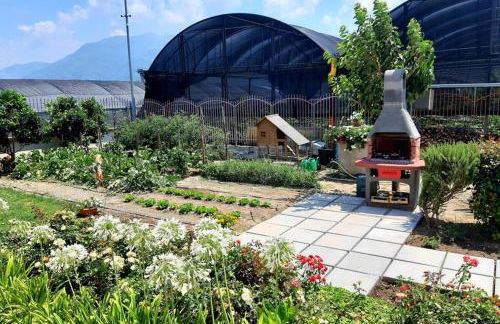 APPARTAMENT '' IL GIARDINO '' - Photo 20