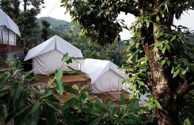 D Jungle Dabas Cottages - Foto 21