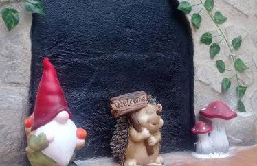 La Aracelitana - Foto 17