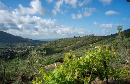 Podere del Pari - Foto 72