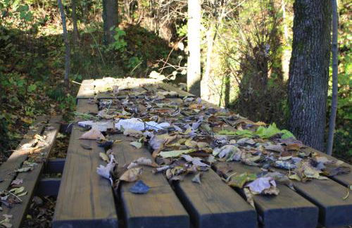 Agriturismo Fattoria Ortoalpino - Foto 72