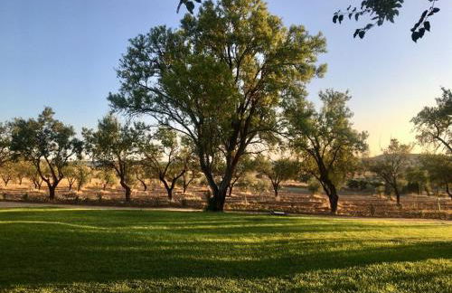 Finca El Relax Casa Rural en Colmenar de Oreja - Foto 22