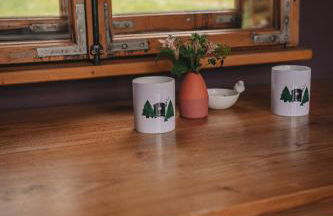 Benno der Wagen - kreativ gestaltetes Tiny House AM WALDRAND Nahezu Alleinlage Rennsteig Grünes Band NATUR PUR Hund willkommen - Foto 18