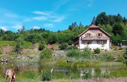 gîte des 1000 étangs - Foto 12