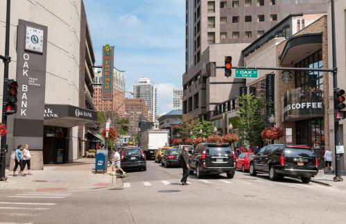 Downtown Vintage Chicago APT - Photo 1